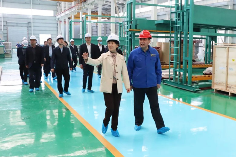 山東省發(fā)展和改革委員會(huì)來(lái)公司調(diào)研